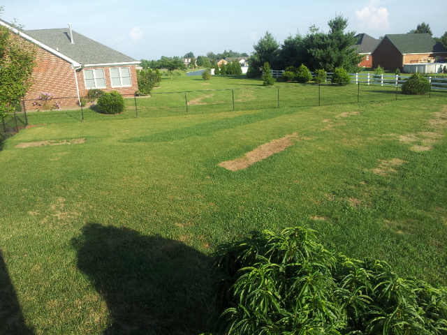 septic texas cities 
      zip batch